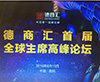 416·直播快讯】德商汇重大战略事宜 第九小组王鸣主席代表发言